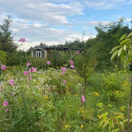 캠프장 Przy Suntago Lublinow