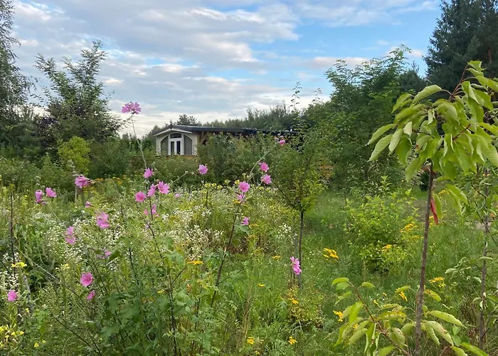 Campsite Przy Suntago Lublinow